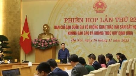 Ускорение завершения установления национальной системы данных о рыболовстве