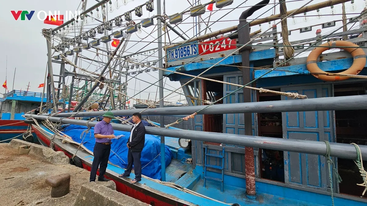 Правление рыбного порта Тханьхоа проверяет экспортные документы судовладельца в округе Самсон