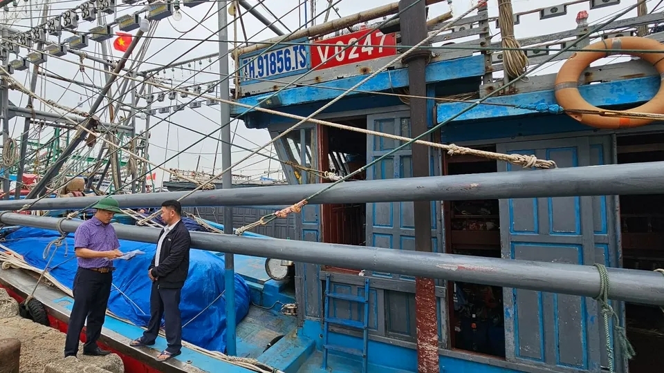 Интеграция контроля рыболовных судов в систему VNeID для борьбы с незаконным рыболовством