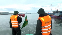 Провинция Куангчи усиливает контроль над рыболовным судом для борьбы с ННН-промыслом