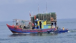 Провинция Нгеан усиливает контроль и строго пресекает ННН-промысел