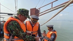 Провинция Тханьхоа внедряет комплексные меры для устойчивого рыболовства