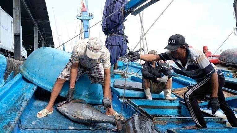 Решающий этап в работе по снятию «желтой карточки» ЕС в рыболовстве