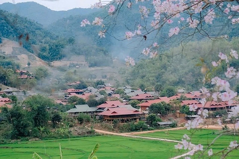 На нем изображены горы и леса Северо-запада страны На нем изображены горы и леса Северо-запада страны