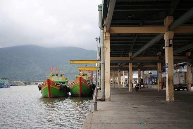 В Дананге модернизированы все суда и рыболовецкий порт Тхо Куанг, что способствует борьбе с ННН-добычей полезных ископаемых. Фото: Тран Тхи В Дананге модернизированы все суда и рыболовецкий порт Тхо Куанг, что способствует борьбе с ННН-добычей полезных ископаемых. Фото: Тран Тхи