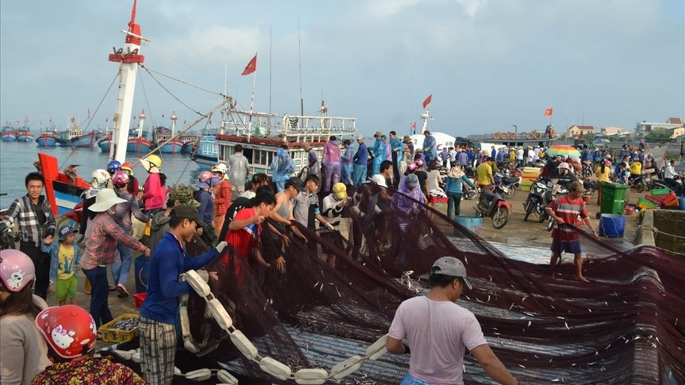 Совершенствование инфраструктуры, содействующее борьбе с ННН-промыслом