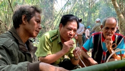 Природа в духовной культуре народов на Центральном нагорье