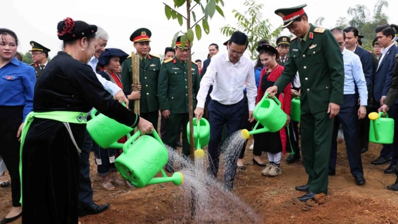 Движение «Праздник посадки деревьев – вечная благодарность Дядюшке Хо» в Туенкуанге