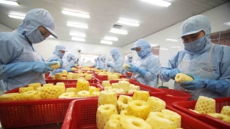 возможности для экспорта сельскохозяйственной продукции на рынок южной кореи