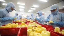 Возможности для экспорта сельскохозяйственной продукции на рынок Южной Кореи