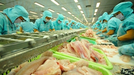 Вьетнам стремится экспортировать пангасиус на сумму в 2 млрд долларов США