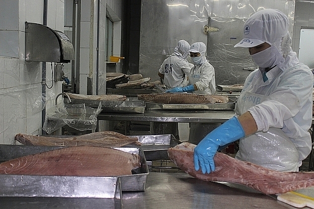 Экспорт тунца в Перу увеличился более чем в 2000 раз