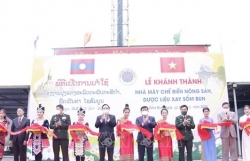 Вьетнам и Лаос укрепляют двустороннее сотрудничество