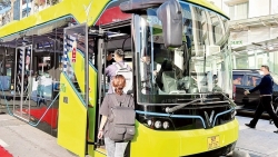 Содействие развитию «зеленого» общественного транспорта