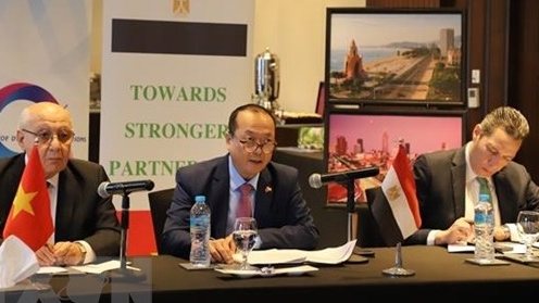 Вьетнам и Египет: обмен опытом по привлечению «зеленого» финансирования