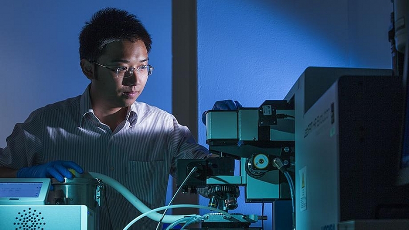 Молодой вьетнамский ученый из Австралии, получил премию «Золотой глобус»