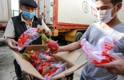 Китай прекратил импорт драконьих фруктов из Вьетнама