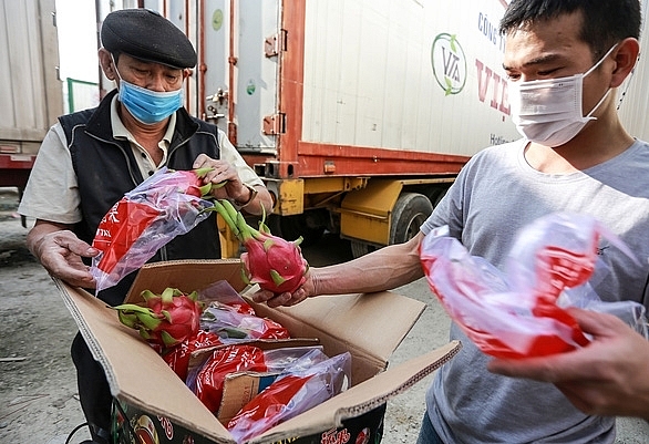 Китай прекратил импорт драконьих фруктов из Вьетнама