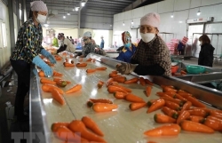 Построение цепочки поставок сельхозпродукции в переработку
