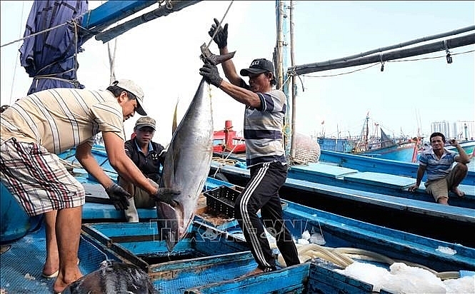 В провинции Кханьхоа рыбаки выходят в открытое море на новый улов