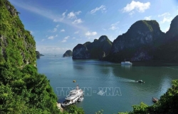 Вьетнам возглавляет список привлекательных туристических направлений в 2023 году