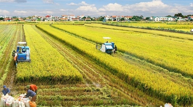 Дельта Меконга: Многоцелевая интеграция в рисовом секторе