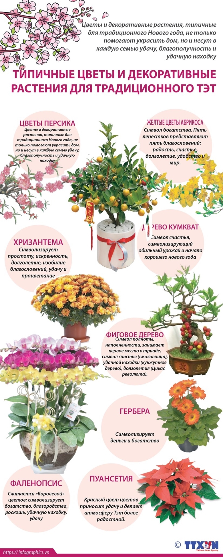 Типичные цветы и декоративные растения для традиционного Тэт