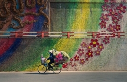 Фотография цветочного велосипеда из Ханоя получила международный приз