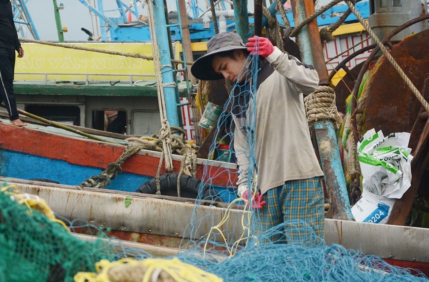 Рыбаки Дананга начинают сезон ловли
