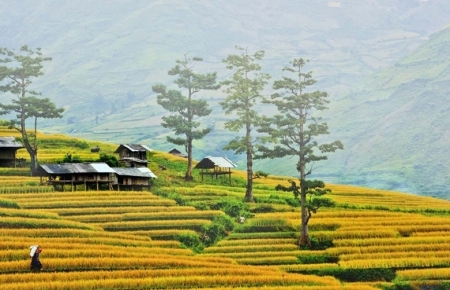 британский журнал выбрал вьетнам в качестве лучшего направления в марте