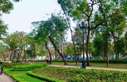 Зеленое пространство в парке Единство
