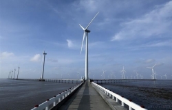 Производители ЕС заинтересованы в оффшорной ветроэнергетике во Вьетнаме