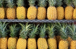 Содействие сбыту ананасов, ранее предназначенных для экспорта в Россию