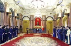 Президент Вьетнама провел встречу с кадровыми работниками Канцелярии президента