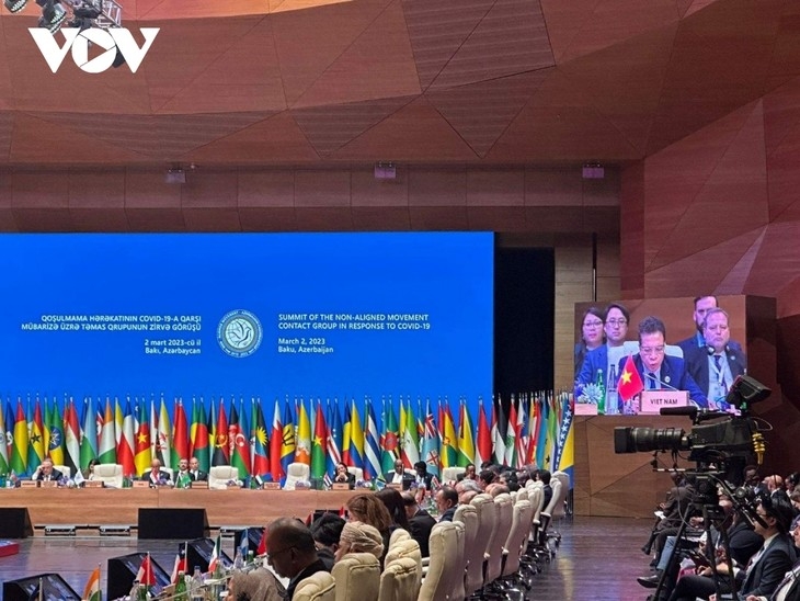 Вьетнам принял участие в саммите Контактной группы Движения неприсоединения по борьбе с COVID-19