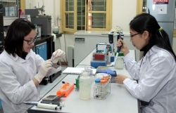 Содействие сотрудничеству в области обучения и научных исследований между Вьетнамом и Южной Африкой