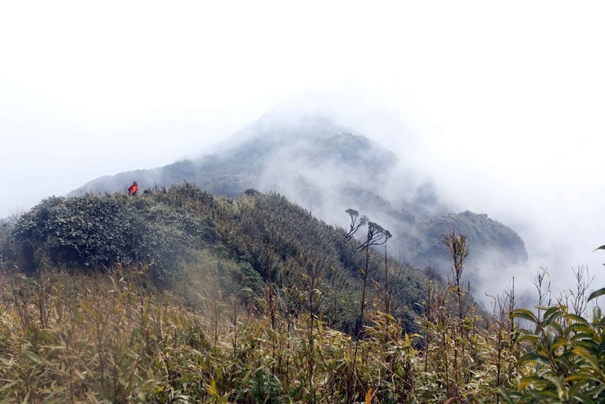 Откройте для себя красоту вершины Батьмоклыонгты в провинции Лайчау