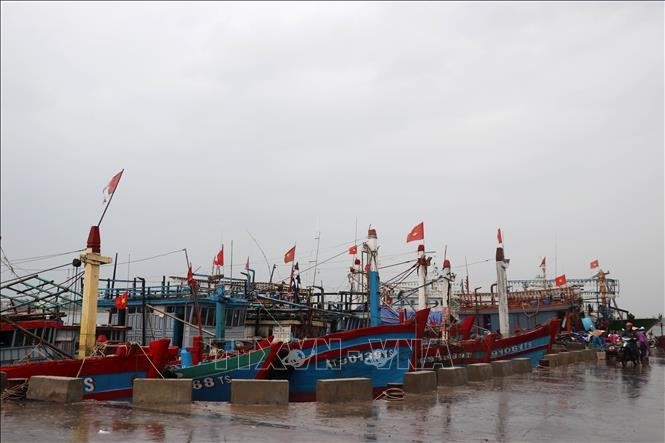 Провинция Куангчи поддерживает выход рыбаков в море