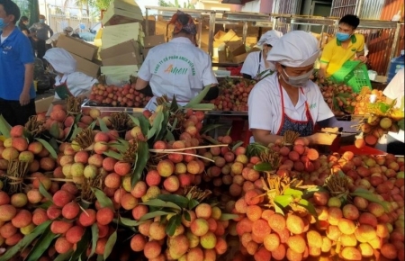 Построение карты сельскохозяйственной продукции Вьетнама