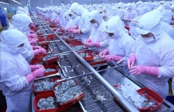Положительное сальдо торгового баланса продукции сельского, лесного и рыбного хозяйства за 4 месяца увеличилось в 3,2 раза