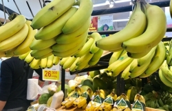 Япония увеличивает импорт вьетнамских бананов