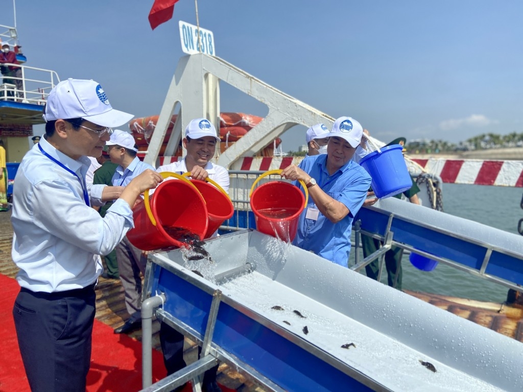 Вьетнам и Китай выпустили более 8 миллионов морских обитателей в прибрежную зону залива Бакбо