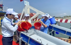 Вьетнам и Китай выпустили более 8 миллионов морских обитателей в прибрежную зону залива Бакбо