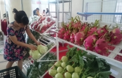 Вьетнам стремится к нулевым выбросам углерода в сфере сельского хозяйства к 2050 году