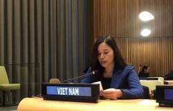 Вьетнам подтверждает свою приверженность защите прав людей с ограниченными возможностями