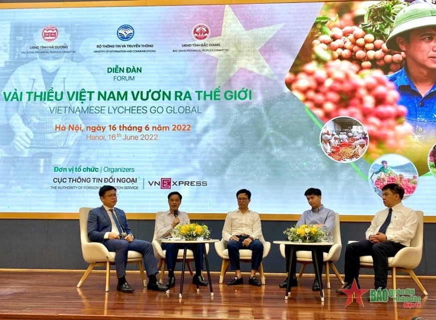 Вывод вьетнамского личи на мировой рынок