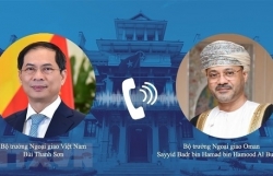 Потенциал сотрудничества между Вьетнамом и Оманом огромен