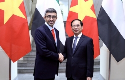 Потенциал сотрудничества между Вьетнамом и ОАЭ огромен