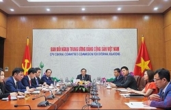 Активная координация действий в продвижении отношений сотрудничества между Вьетнамом и Японией