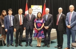 Прошло 1-е заседание Смешанного вьетнамско-канадского экономического комитета